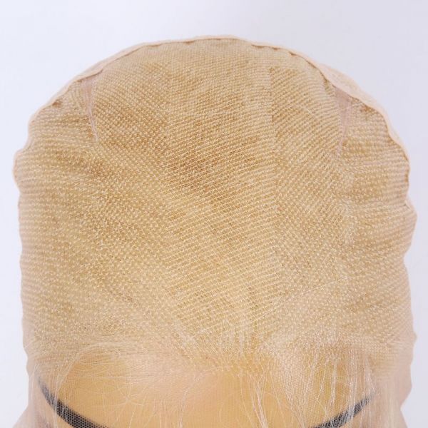 Full lace wig 27/613 best sale